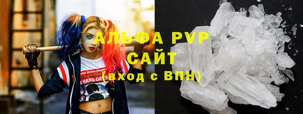 ГАЛЛЮЦИНОГЕННЫЕ ГРИБЫ Волосово